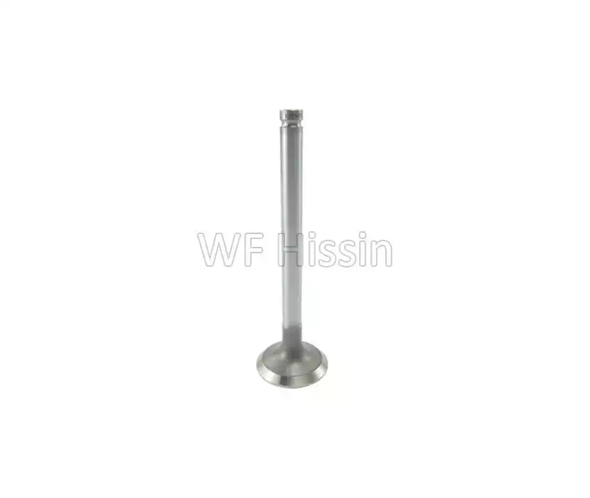 Exhaust valve 1004